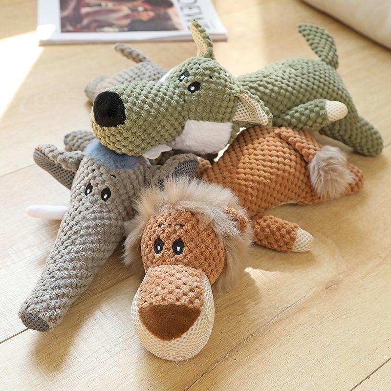 Notice:  This link is for customized live streaming use only.